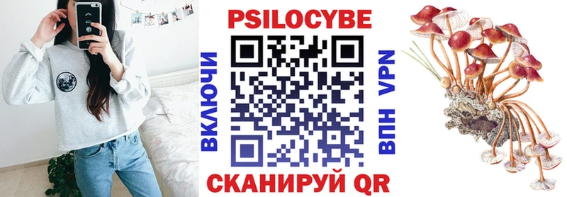 Галлюциногенные грибы Psilocybine cubensis Елец